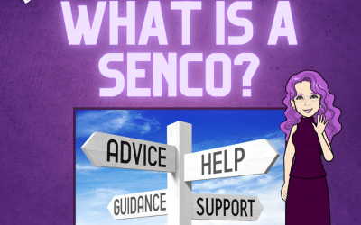 What is a SENCO? – New SENCO Basics