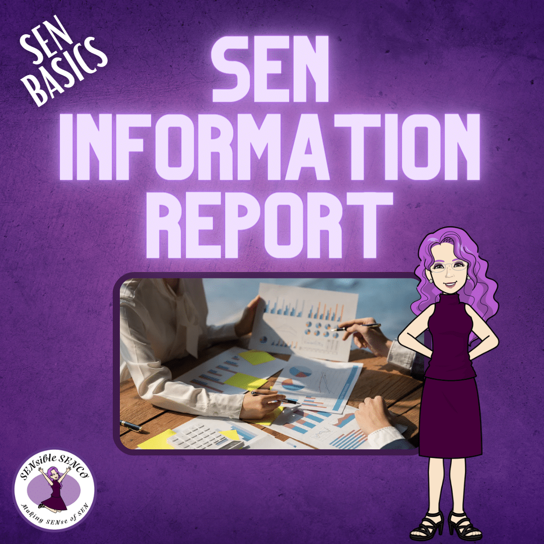 SEN information Report - SEN Basics