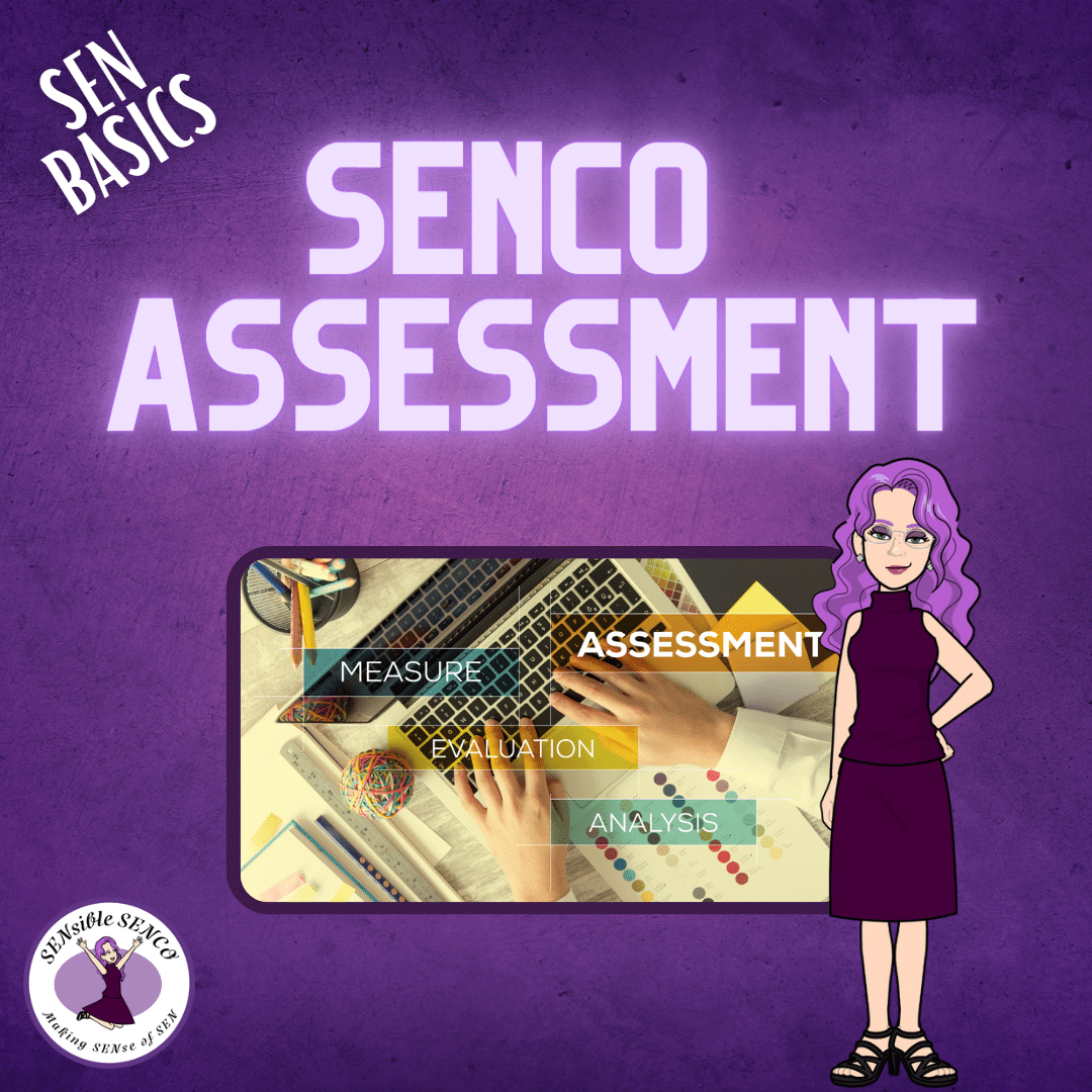 SENCO Assessment - SEN basics