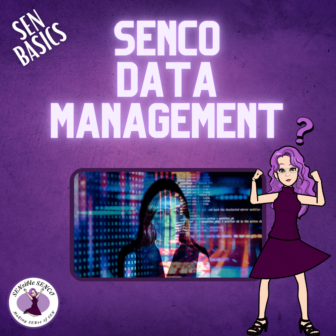 SENCO Data management - SEN Basics