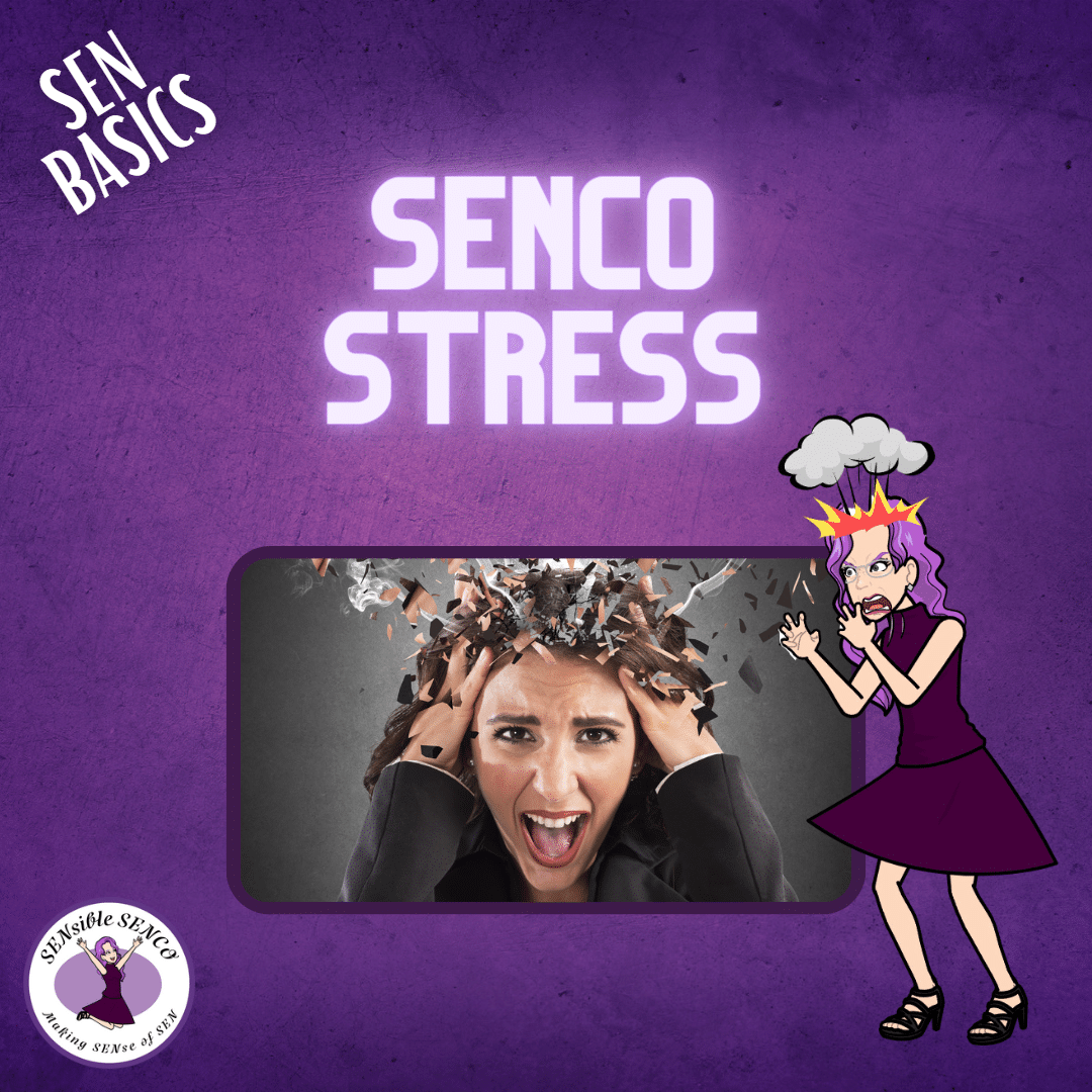 SENCO Stress - SEN Basics