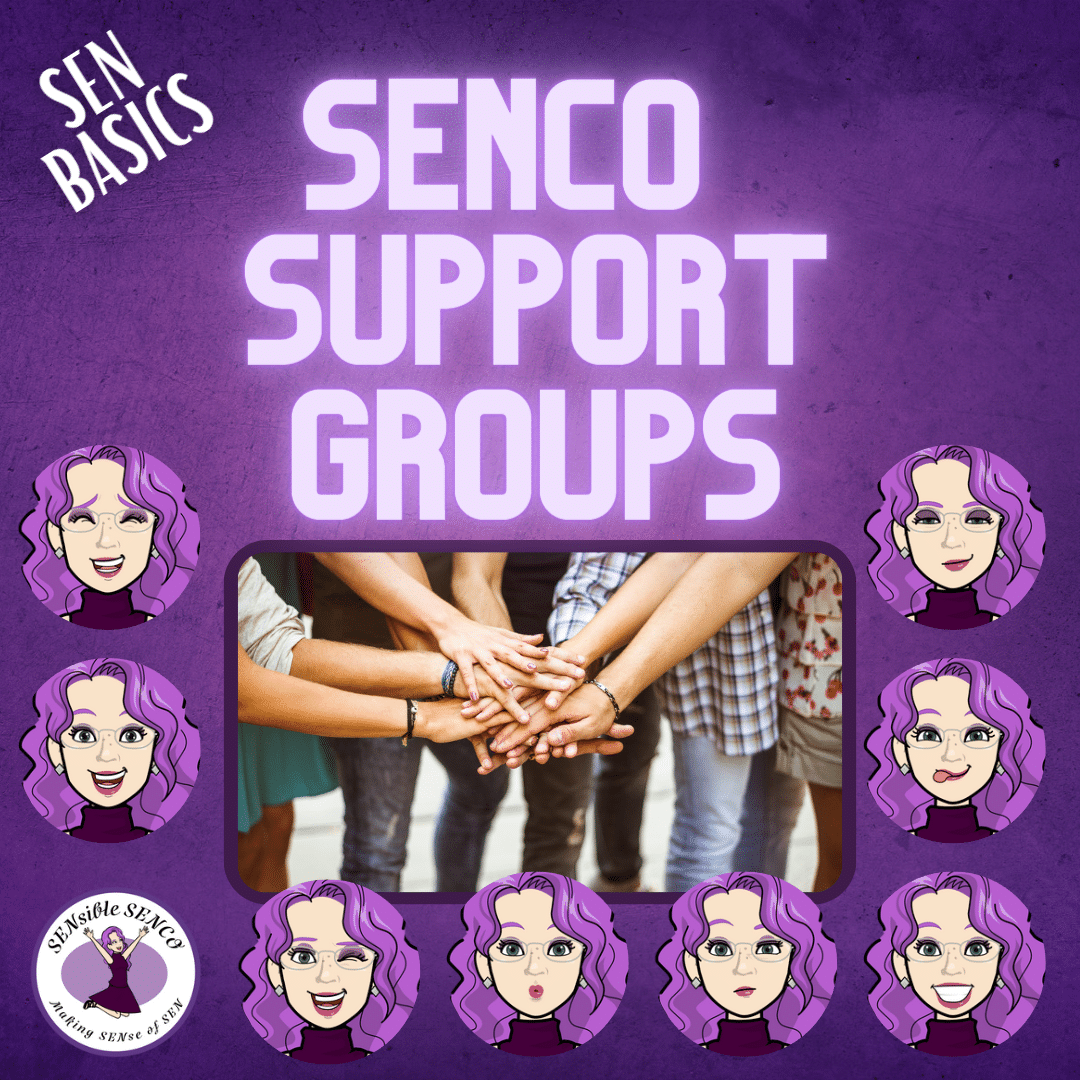 SENCO support Groups - SEN Basics