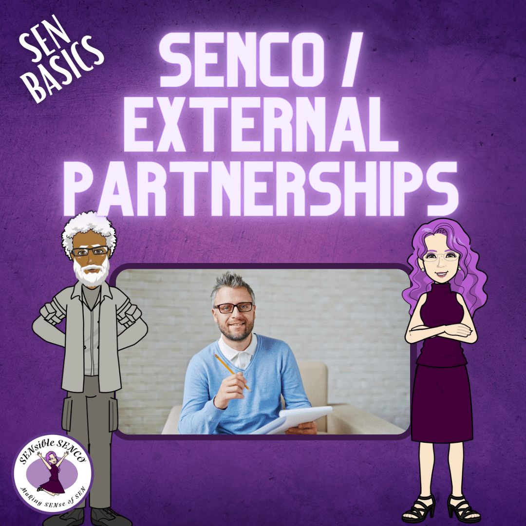 SENCO and external partnerships - SEN Basics