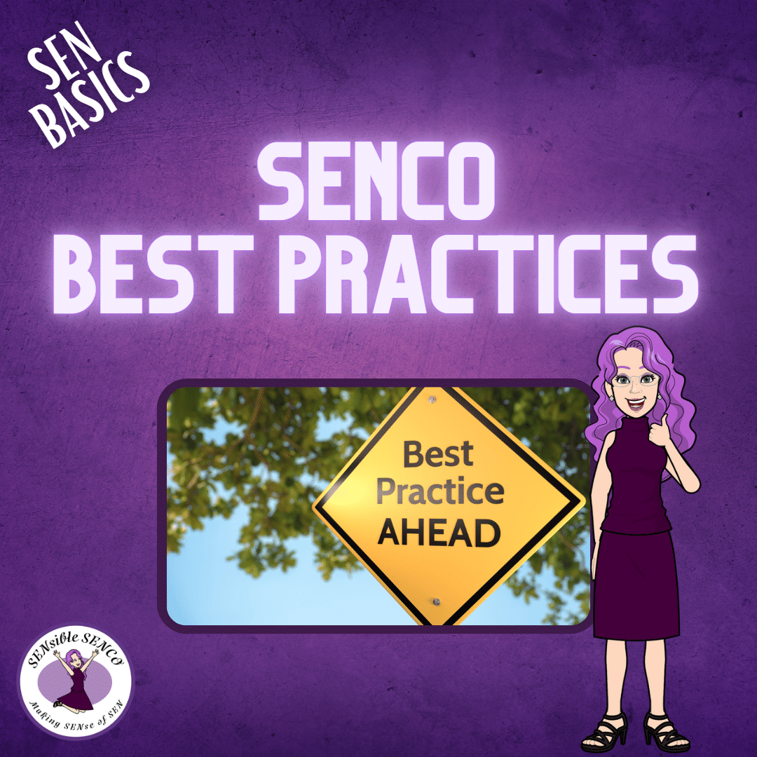 SENCO Best Practices - SEN Basics