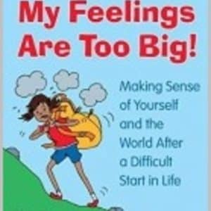 Help! My Feelings Are Too Big by K L Aspden