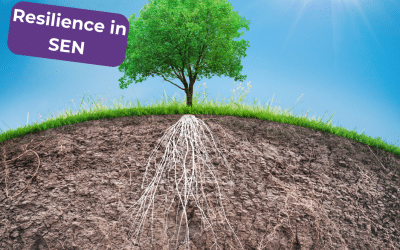 Understanding Resilience: What It Is and Why It Matters