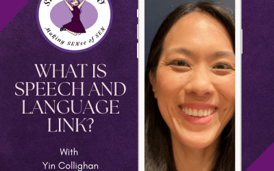 What is Speech and Language Link?