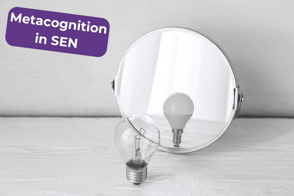 The Power of Reflection Metacognitive Strategies for SEN Learners