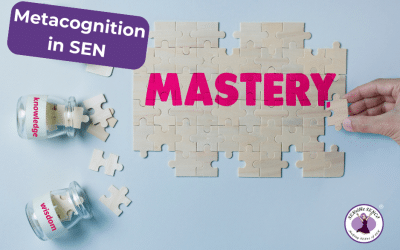 Metacognitive Mastery: Reflecting on Strategies That Empower SEN Learners